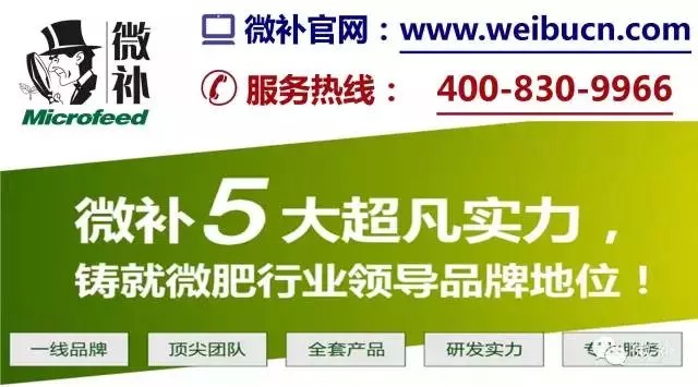 余教授奧地利鄉(xiāng)村行：萬(wàn)科為什么說把奧地利小鎮(zhèn)搬回來(lái)？