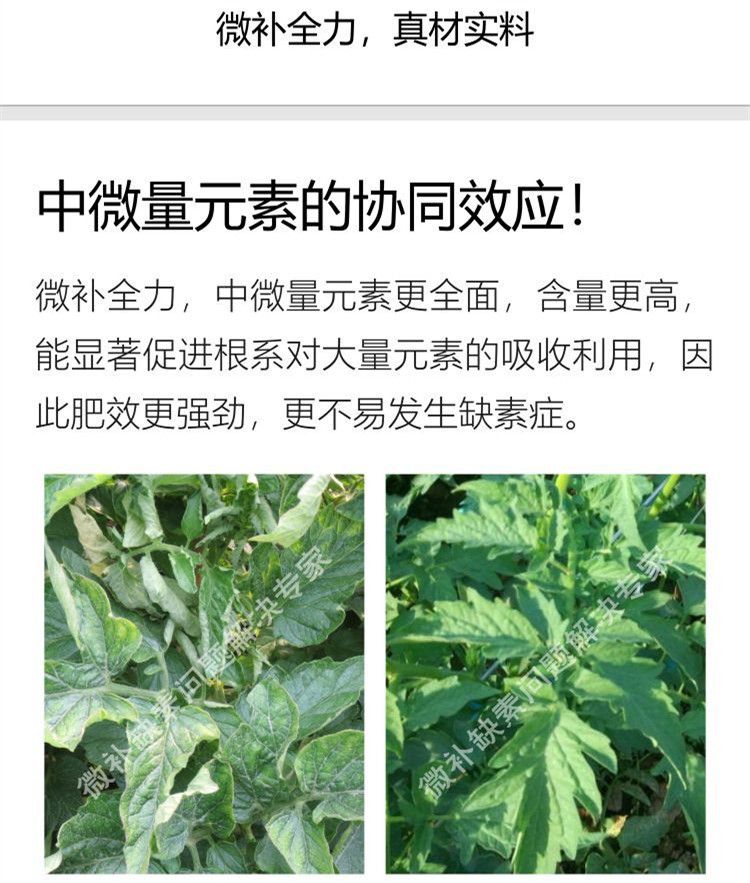 微補全力750_副本8.jpg