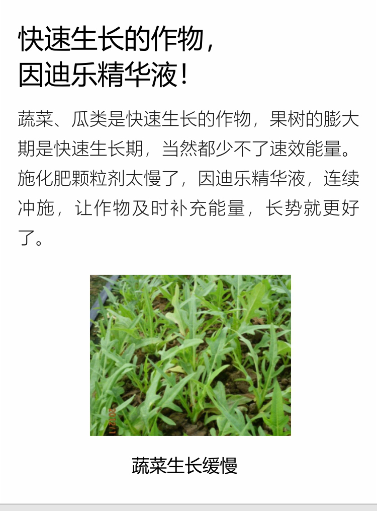 因迪樂精華液(1)_07.jpg