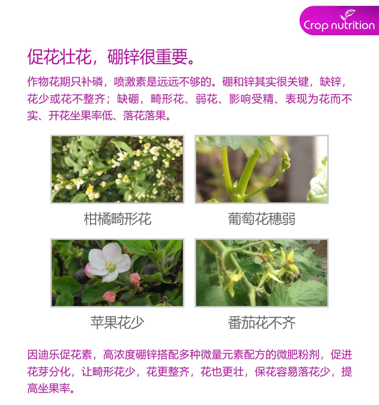 因迪樂(lè)有機(jī)促花素_02.jpg