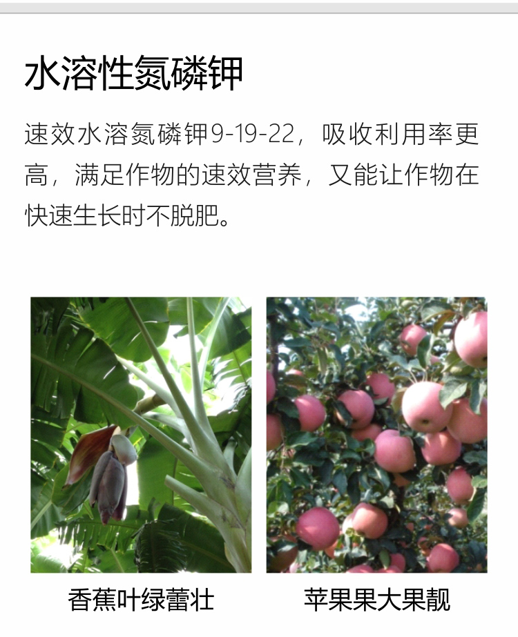 因迪樂(lè)精華粉詳情手機(jī)_04.jpg