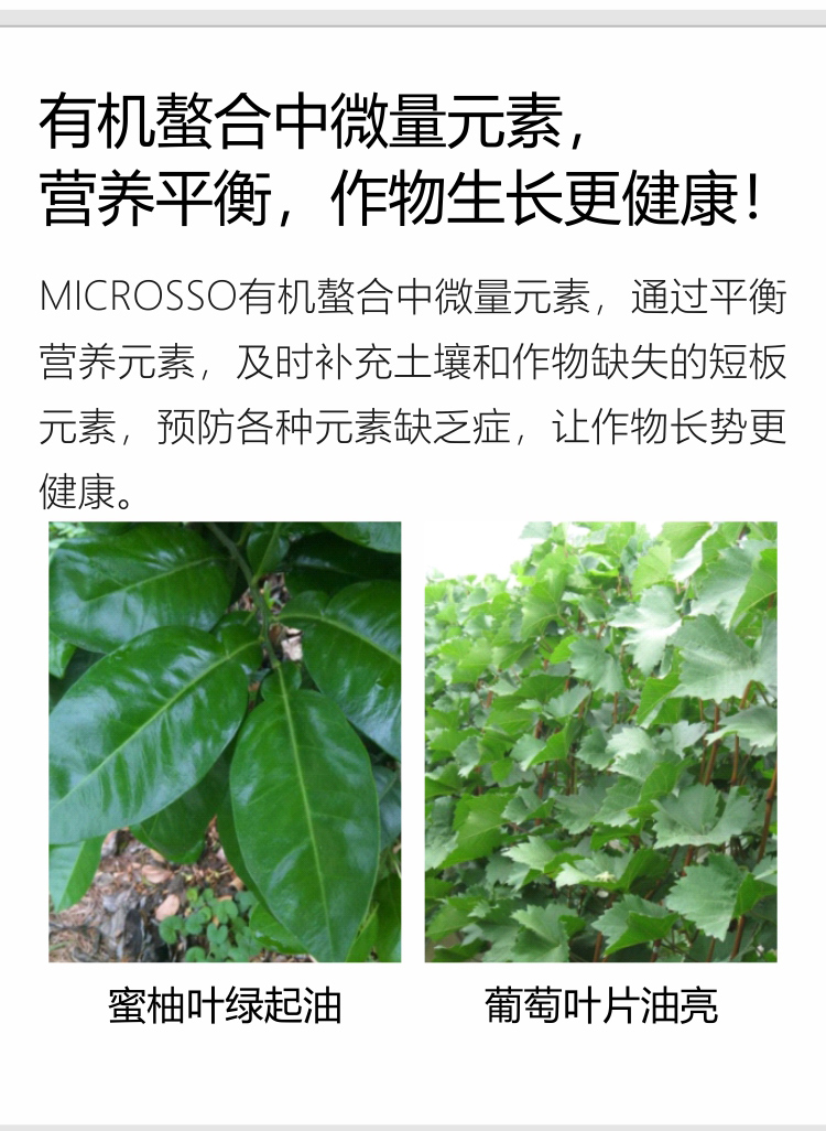 因迪樂(lè)精華粉詳情手機(jī)_05.jpg