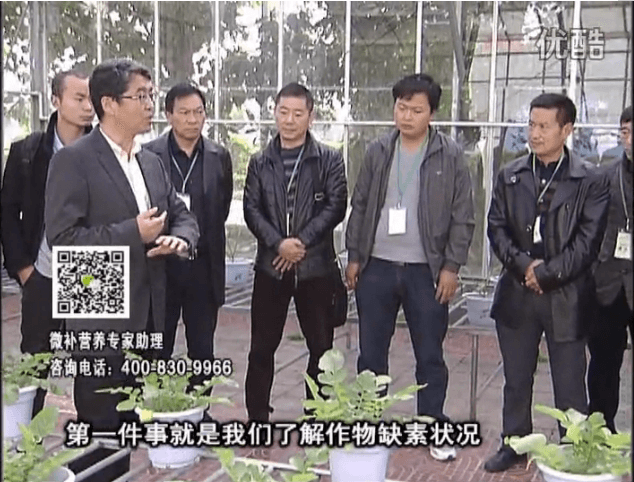 20160418珠江臺搖錢樹：和重慶種植業(yè)主走進(jìn)微補，探秘微補生產(chǎn)研發(fā)技術(shù)